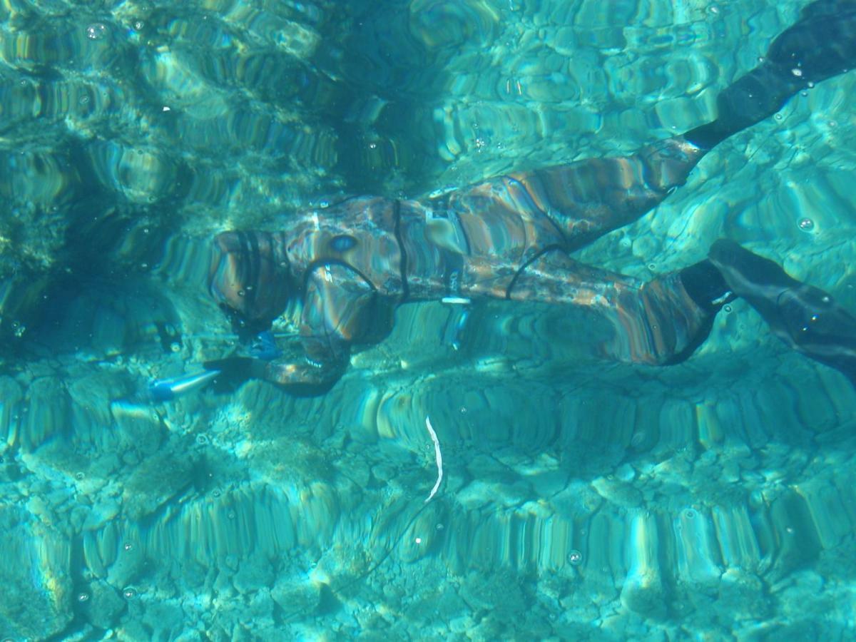Pacho Διαμέρισμα Baška Voda Εξωτερικό φωτογραφία